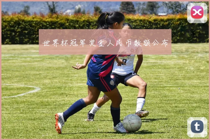 世界杯冠军奖金人民币数额公布
